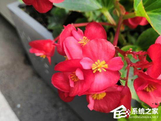 荣耀Note 10值不值得买?荣耀Note 10体验评测