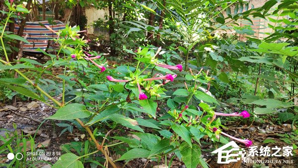 小米8 SE怎么样?小米8 SE体验评测