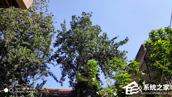 小米8 SE怎么样?小米8 SE体验评测