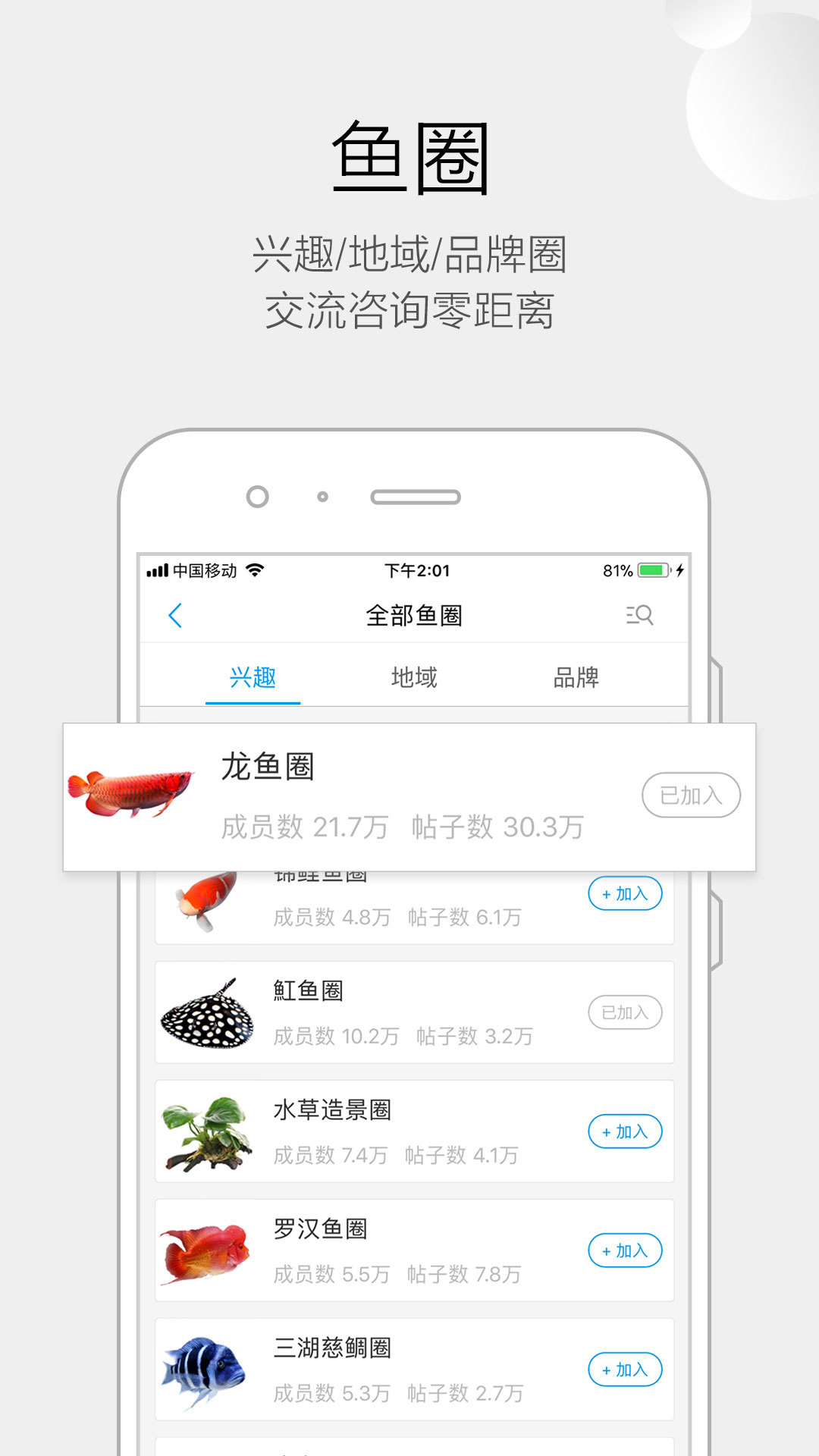 龙巅鱼邻 v0.5.2