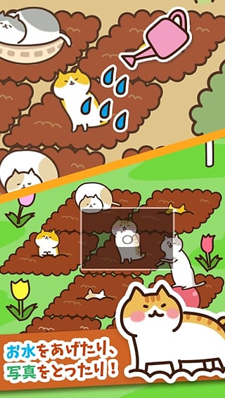 猫咪田园 v2.1.2