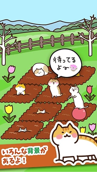 猫咪田园 v2.1.2