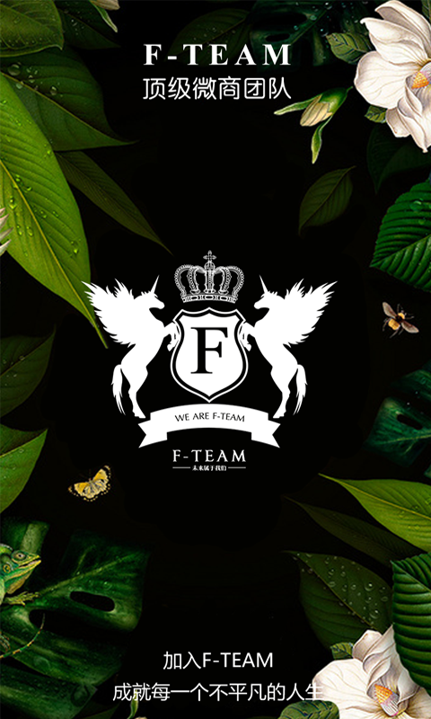 F-TEAM v2.0.4