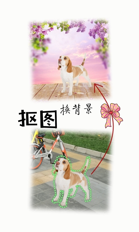 和图 v9.52
