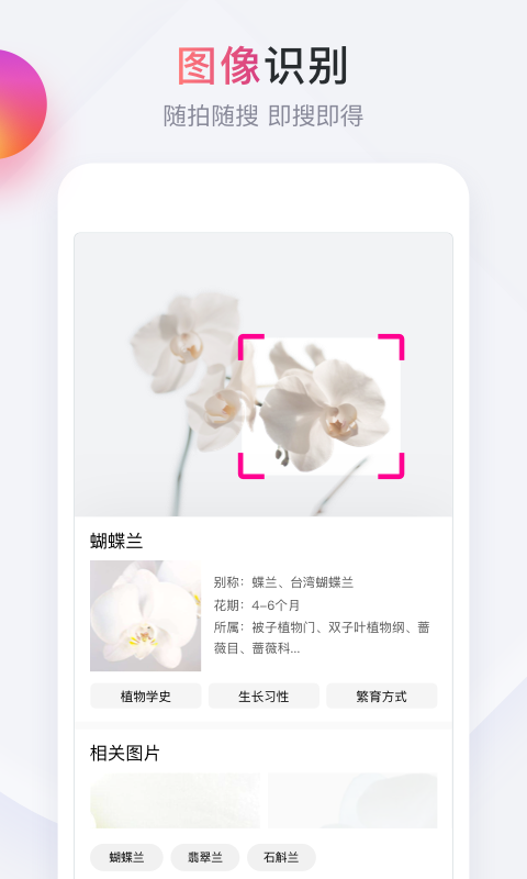 简单搜索 v2.4.2